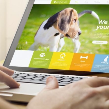Home Page